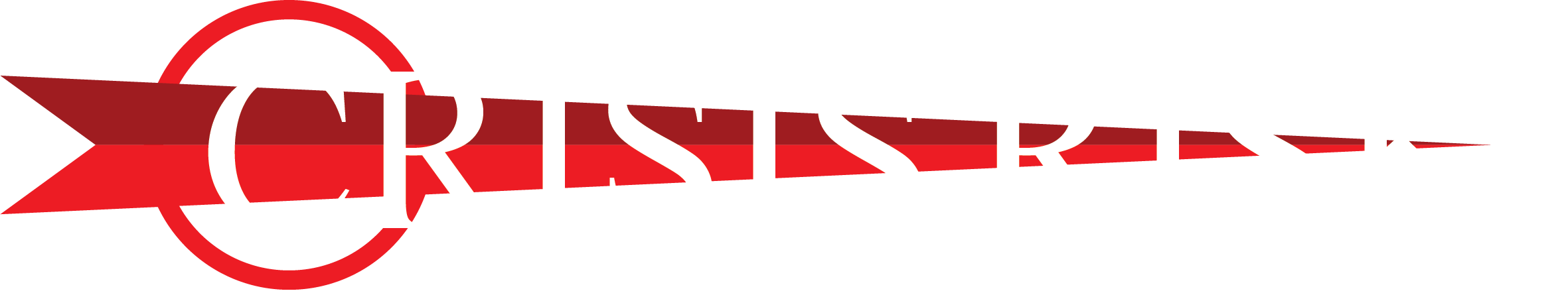 Crisis Risk Logo